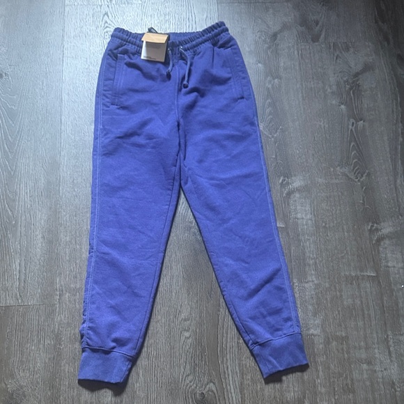 The North Face Other - The North Face Purple Jogger Pants